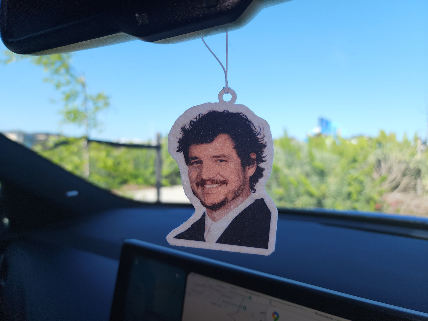 PEDRO PASCAL CAR AIR FRESHENER