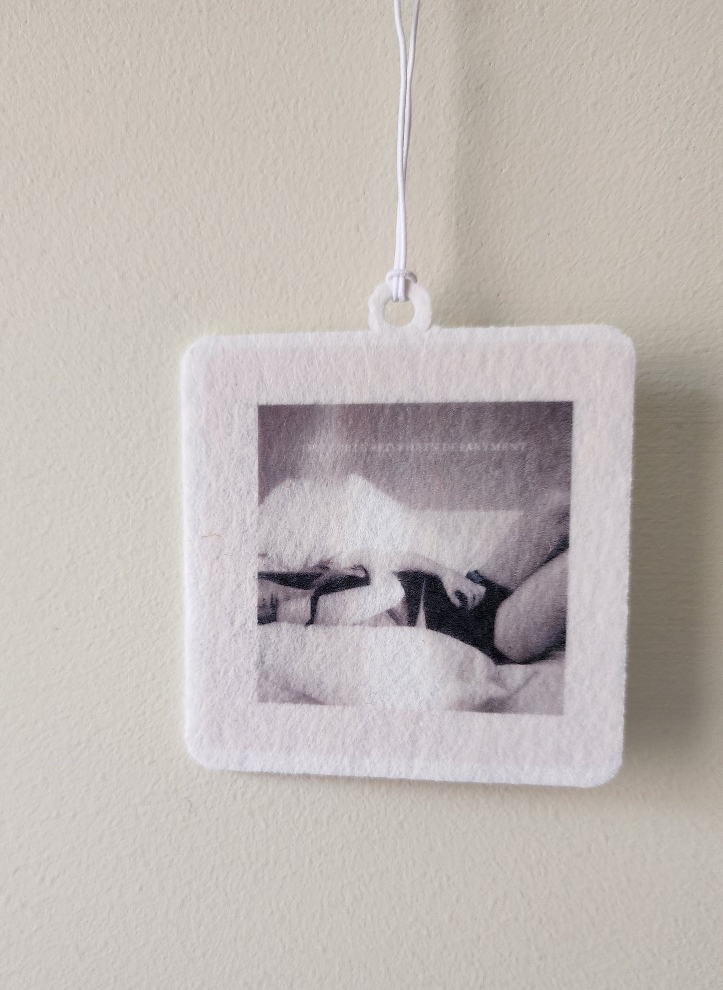 THE TORTURED POETS DEPARTMENT TAYLOR CAR AIR FRESHENER