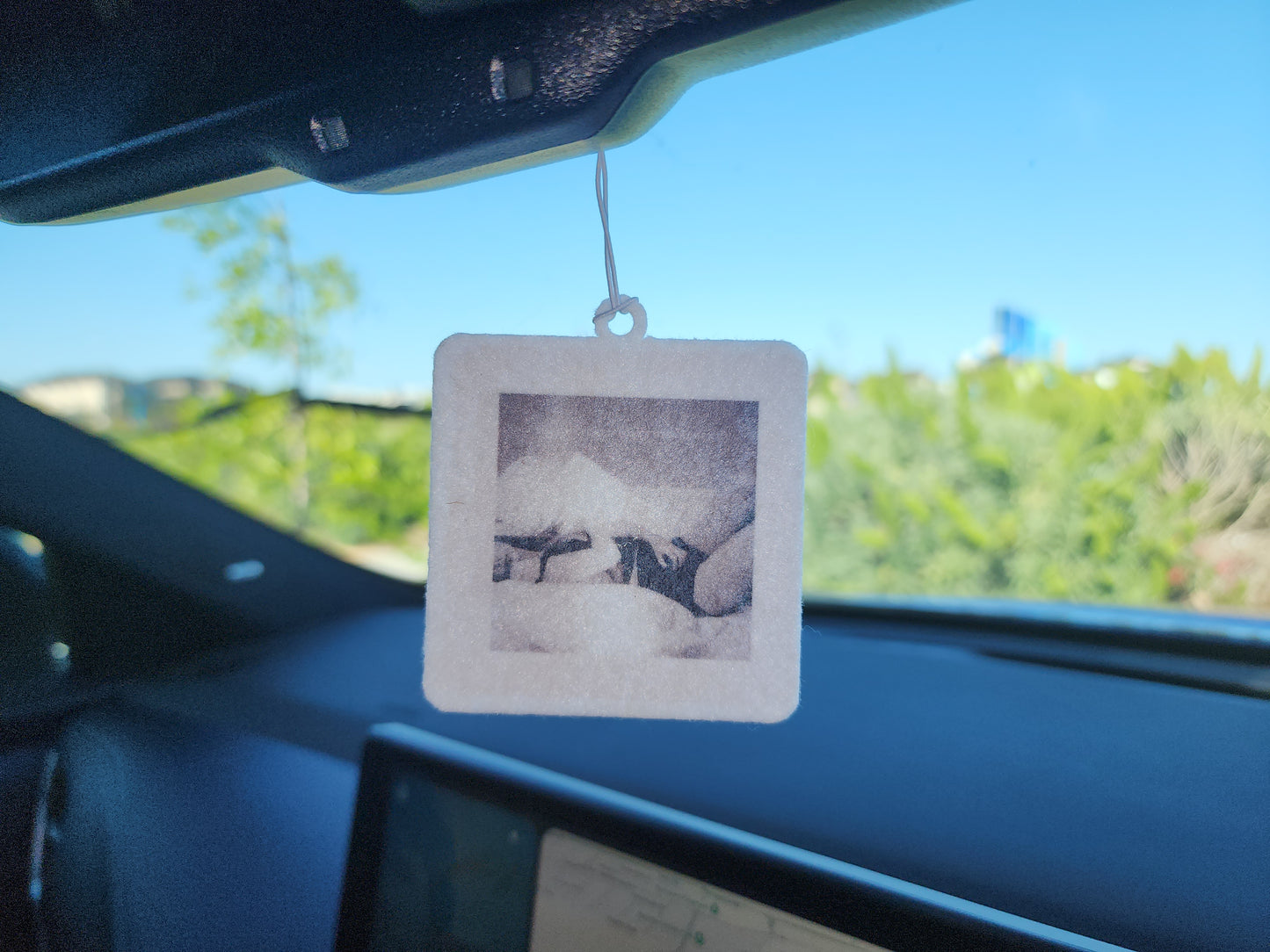 THE TORTURED POETS DEPARTMENT TAYLOR CAR AIR FRESHENER