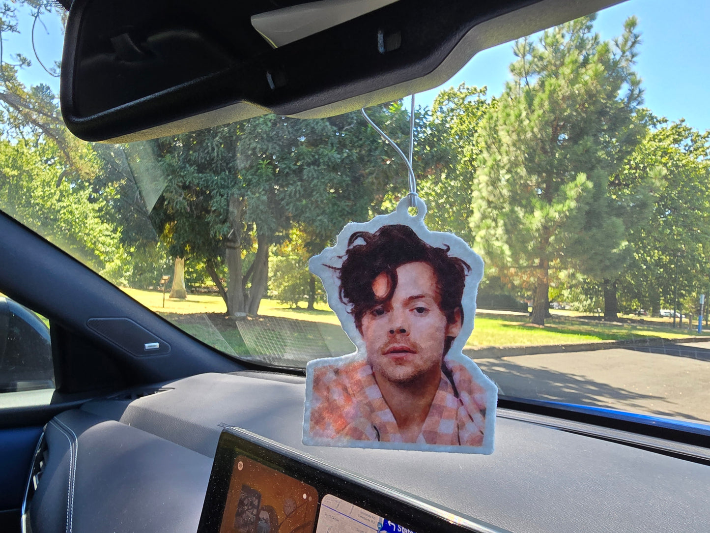 HARRY STYLES CAR AIR FRESHENER