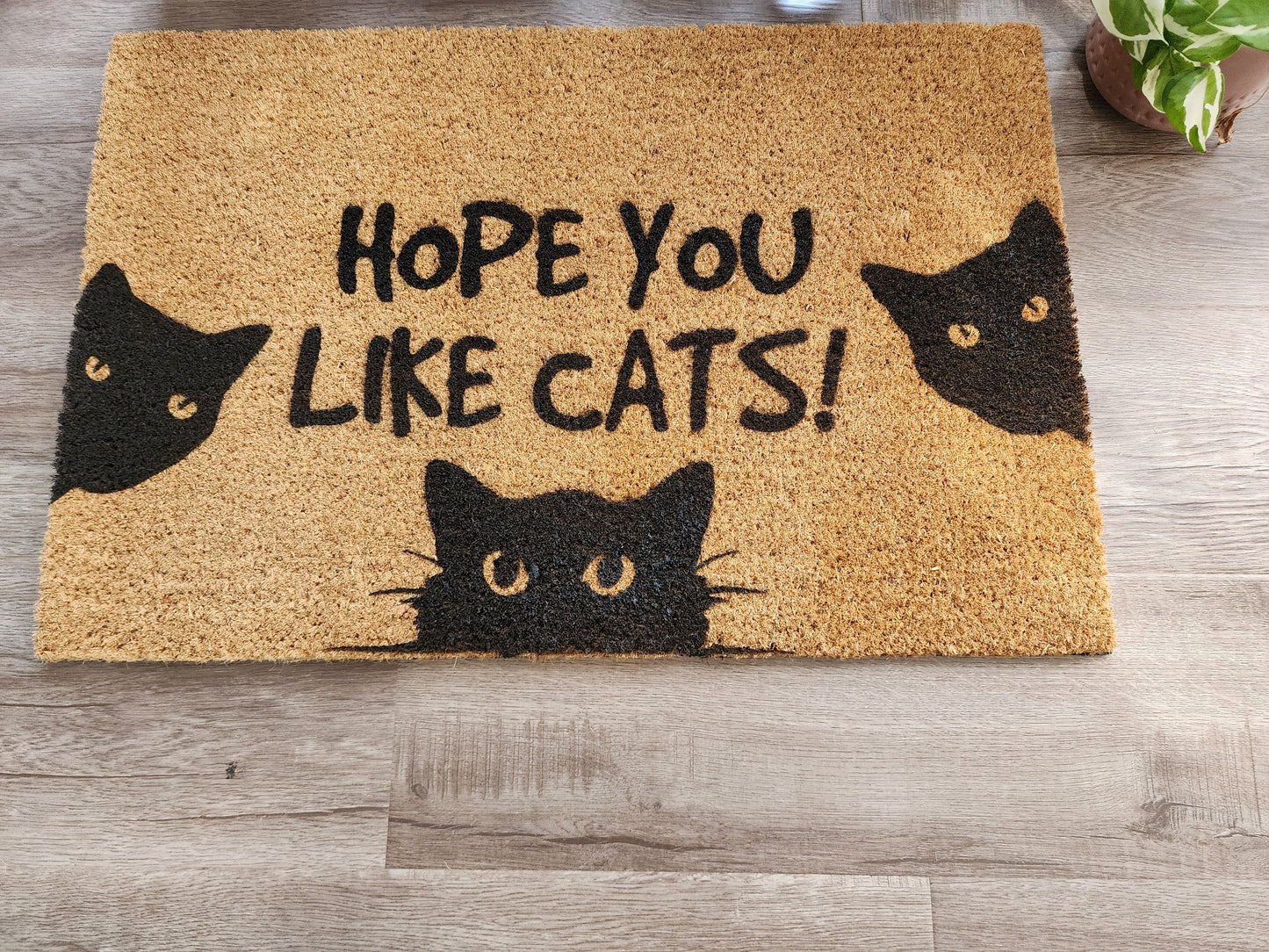 HOPE YOU LIKE CATS! FUN CUSTOM DOOR MAT