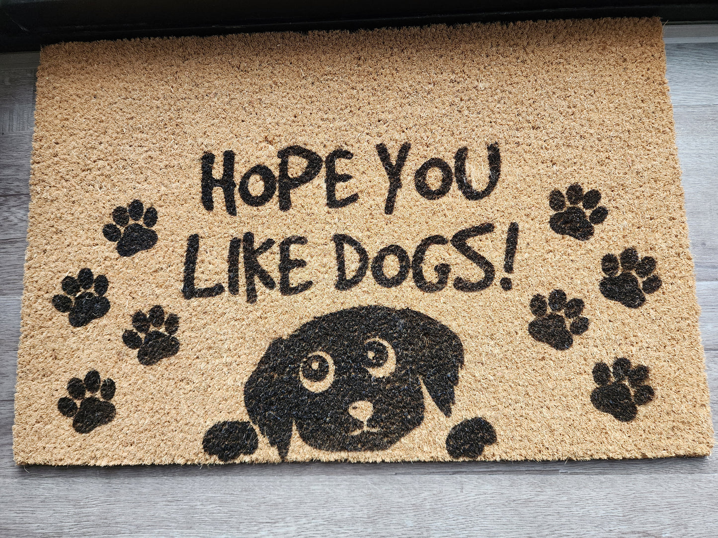 HOPE YOU LIKE DOGS FUN CUSTOM DOOR MAT