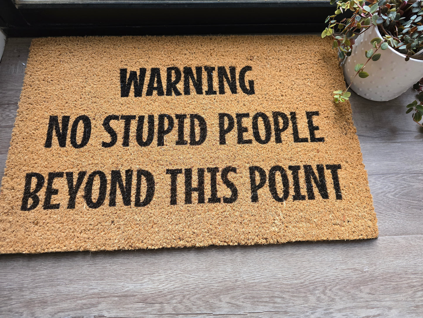 WARNING NO STUPID PEOPLE BEYOND THIS POINT FUN CUSTOM DOOR MAT