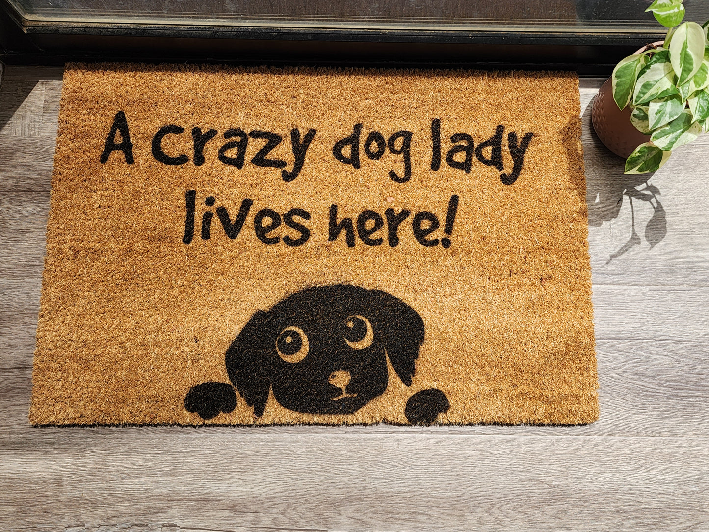 A CRAZY DOG LADY LIVES HERE CUSTOM DOOR MAT