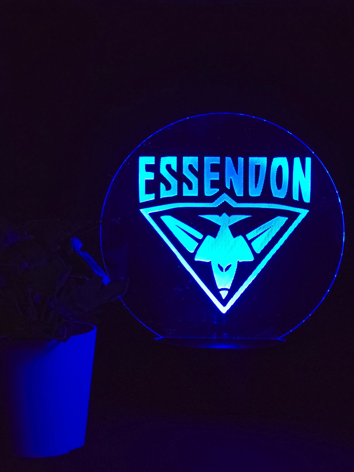ESSENDON BOMBERS NIGHT LIGHT 8 COLOURS LED LAMP