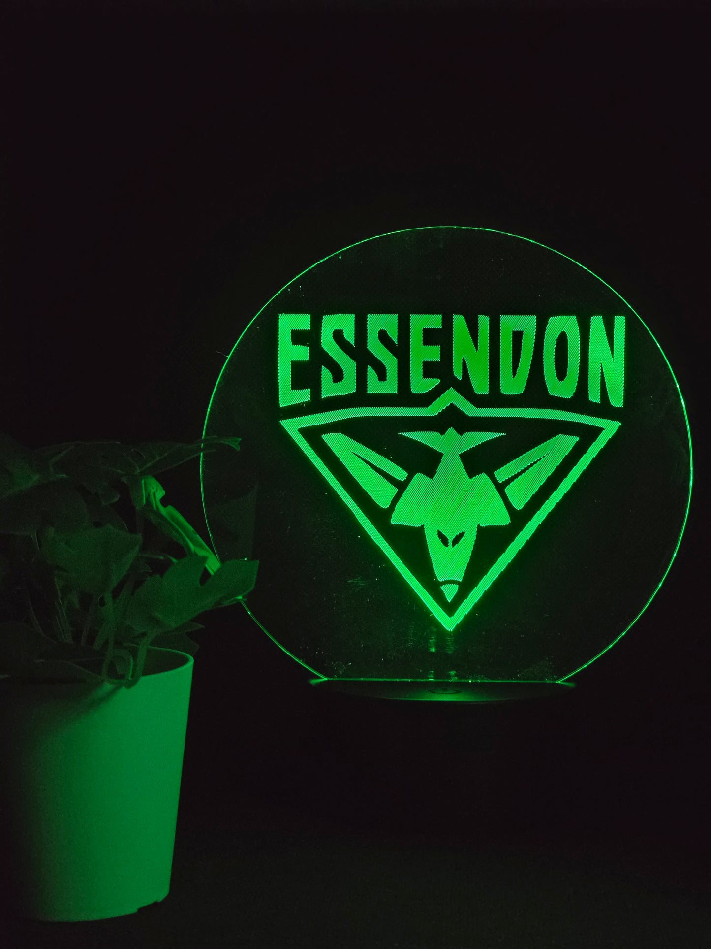 ESSENDON BOMBERS NIGHT LIGHT 8 COLOURS LED LAMP
