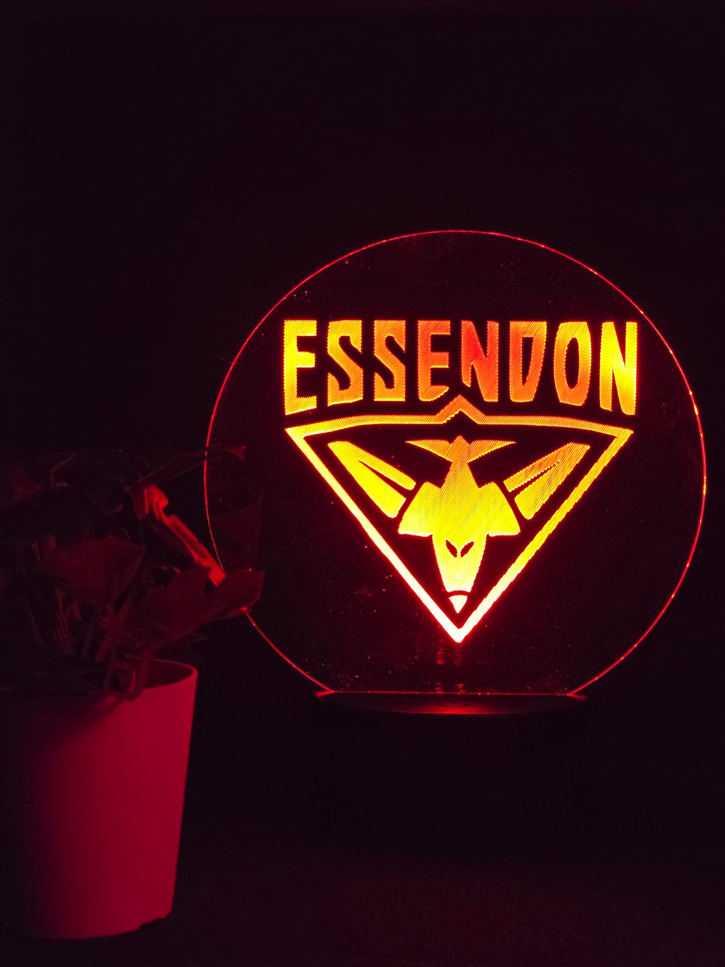 ESSENDON BOMBERS NIGHT LIGHT 8 COLOURS LED LAMP