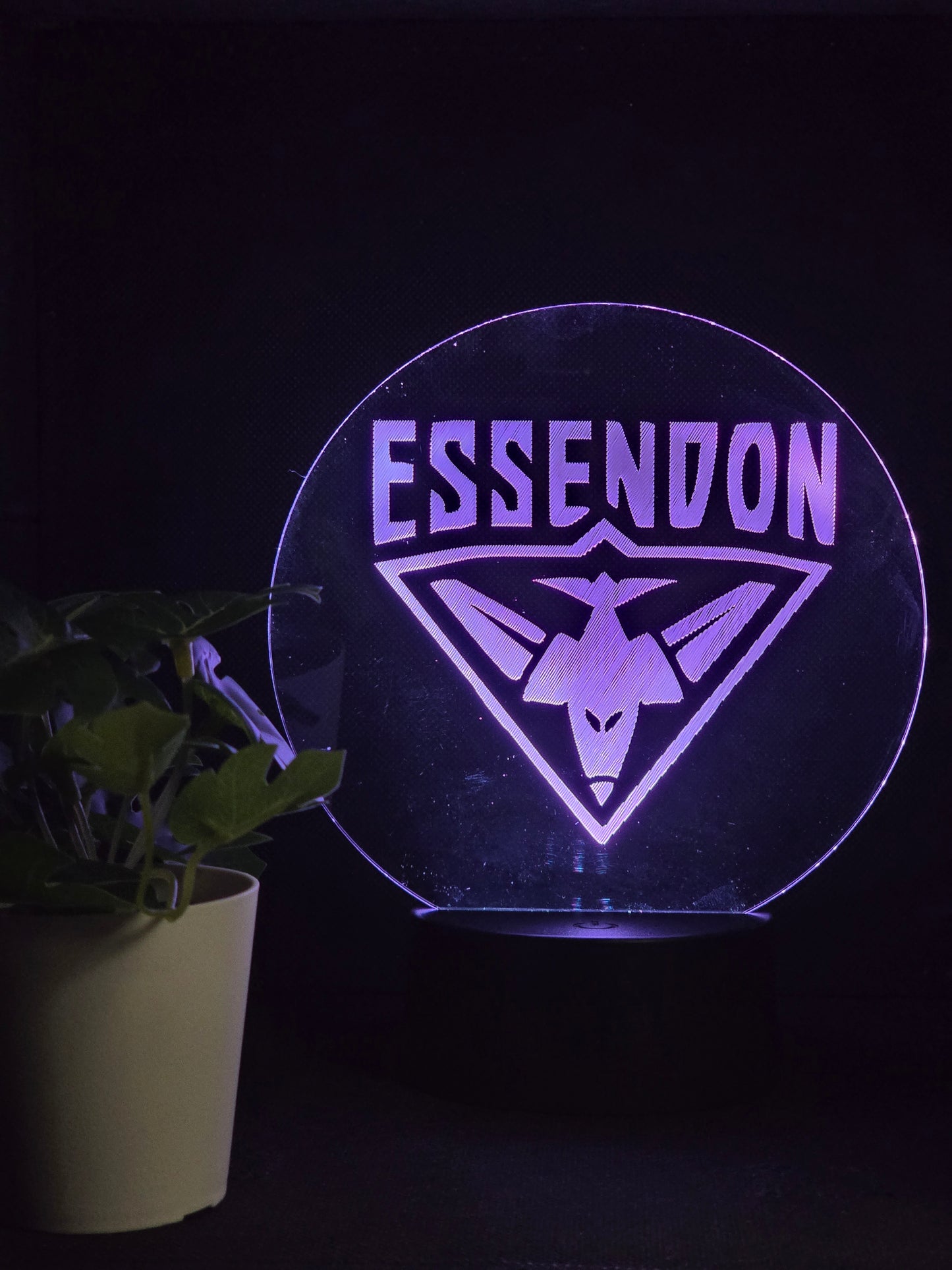 ESSENDON BOMBERS NIGHT LIGHT 8 COLOURS LED LAMP
