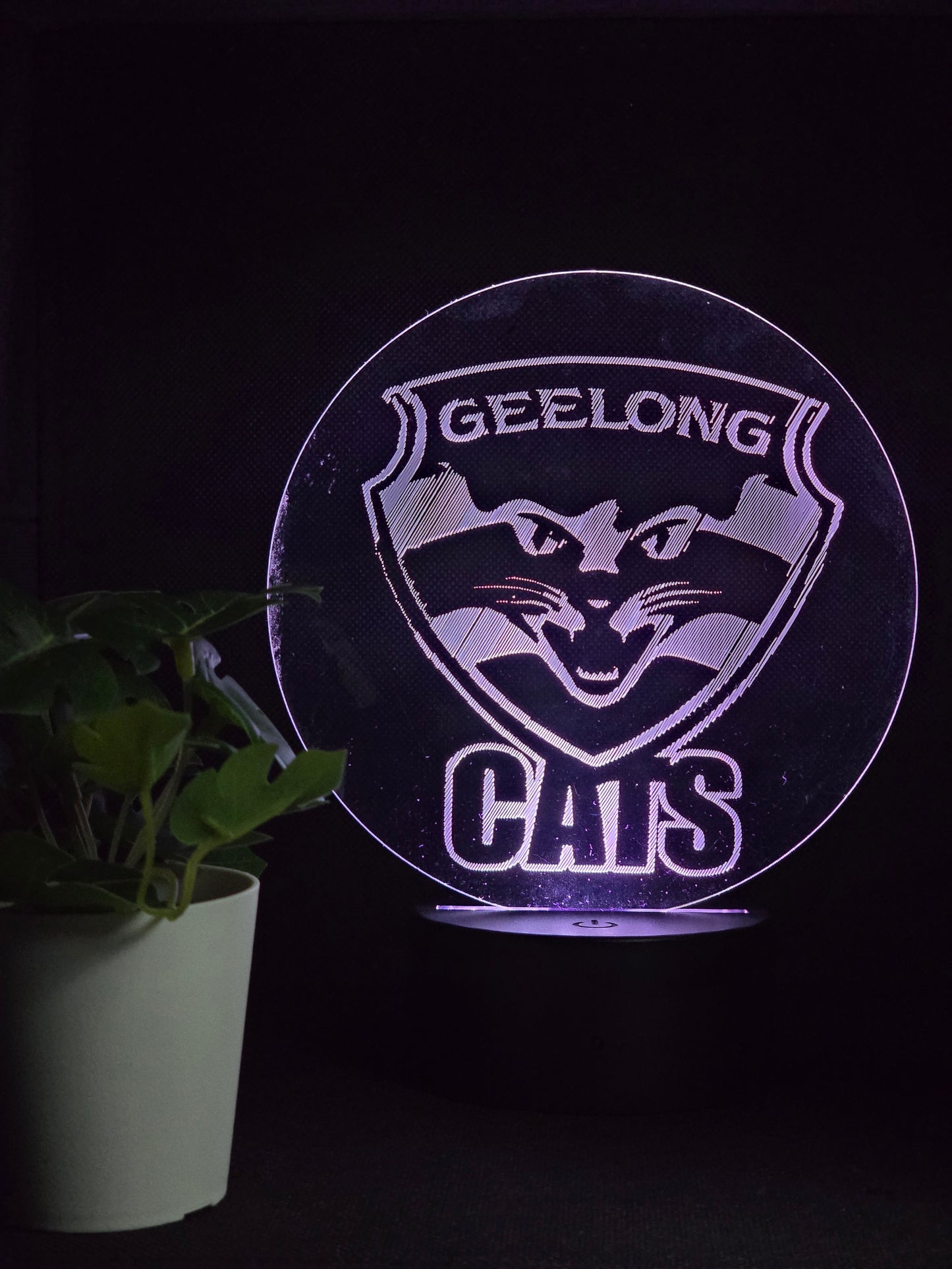 GEELONG CATS NIGHT LIGHT 8 COLOURS LED LAMP