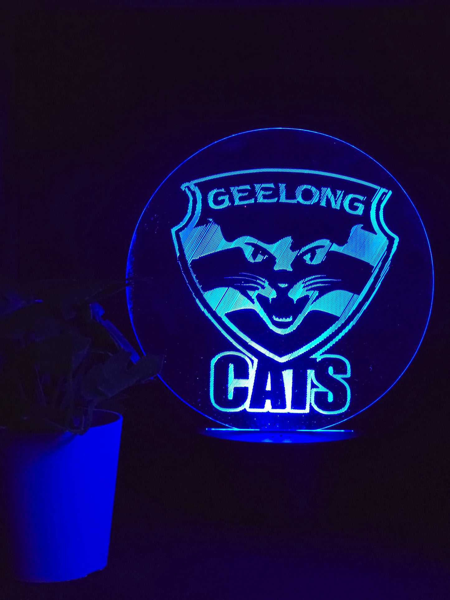 GEELONG CATS NIGHT LIGHT 8 COLOURS LED LAMP