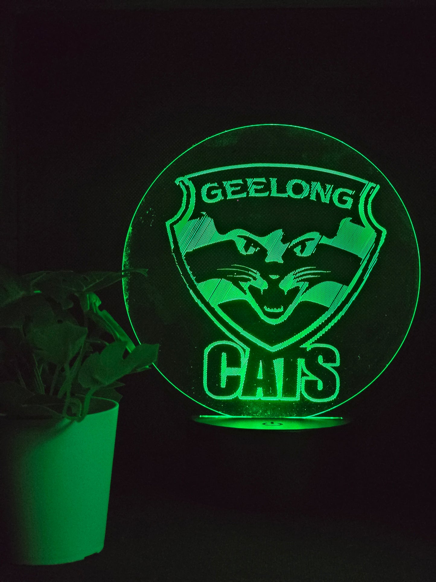 GEELONG CATS NIGHT LIGHT 8 COLOURS LED LAMP