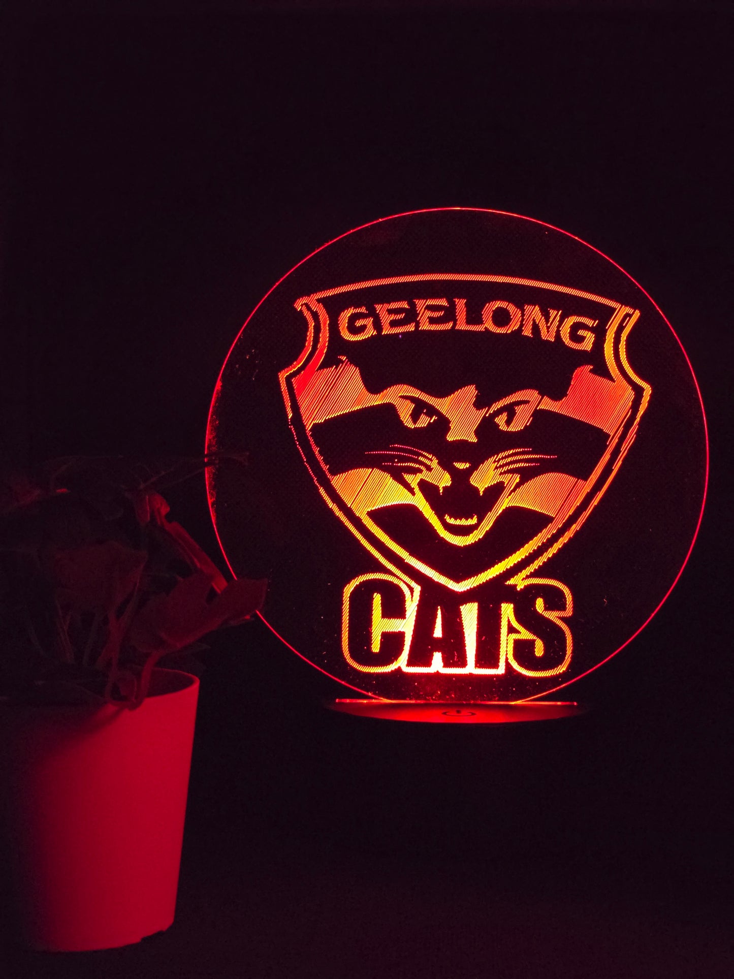 GEELONG CATS NIGHT LIGHT 8 COLOURS LED LAMP