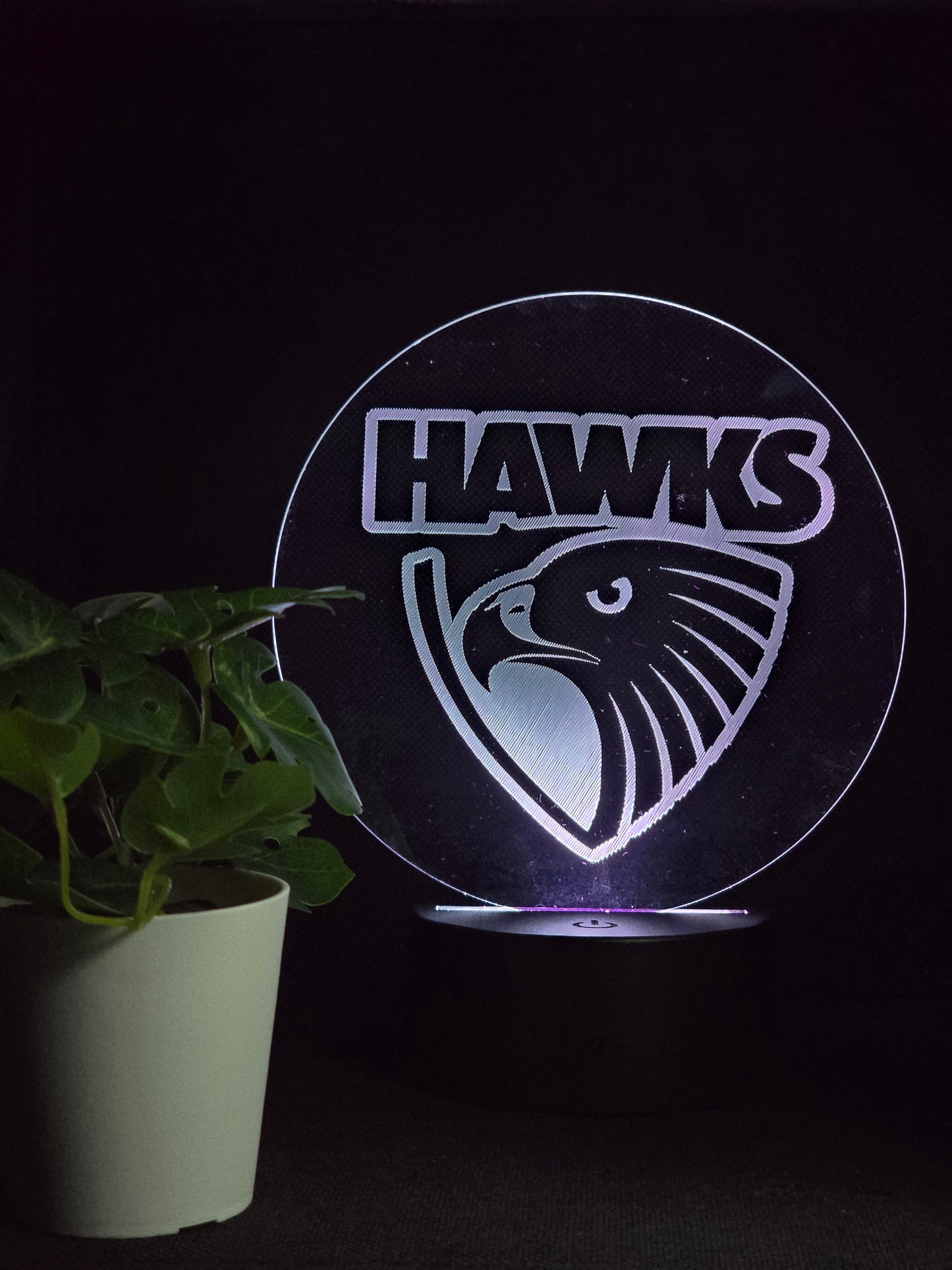 HAWTHORN HAWKS NIGHT LIGHT 8 COLOURS LED LAMP