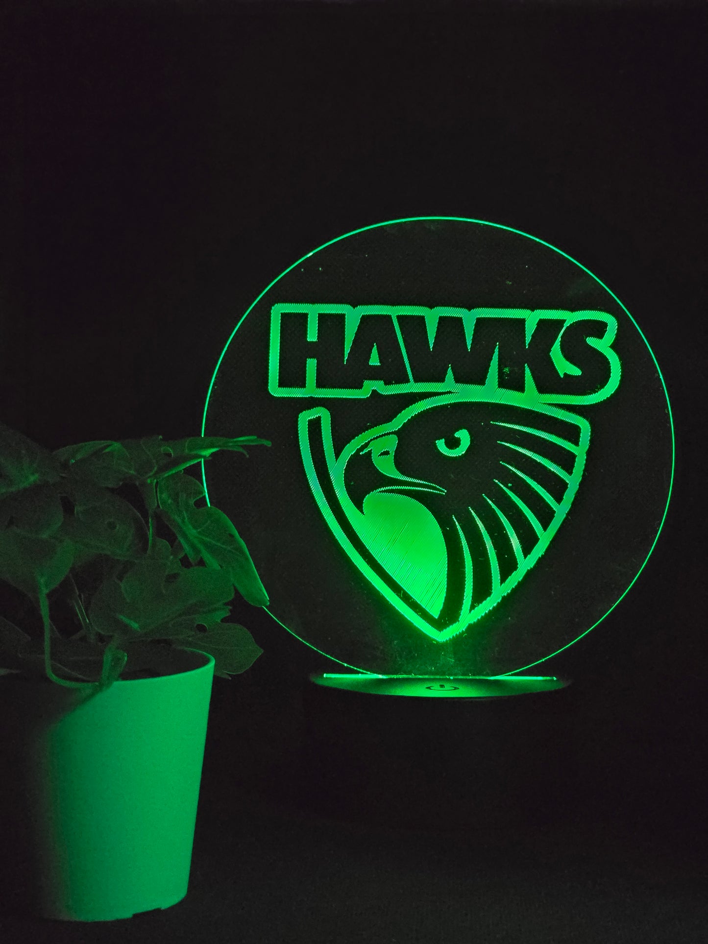 HAWTHORN HAWKS NIGHT LIGHT 8 COLOURS LED LAMP