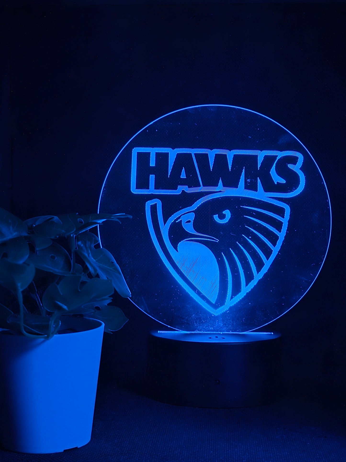 HAWTHORN HAWKS NIGHT LIGHT 8 COLOURS LED LAMP