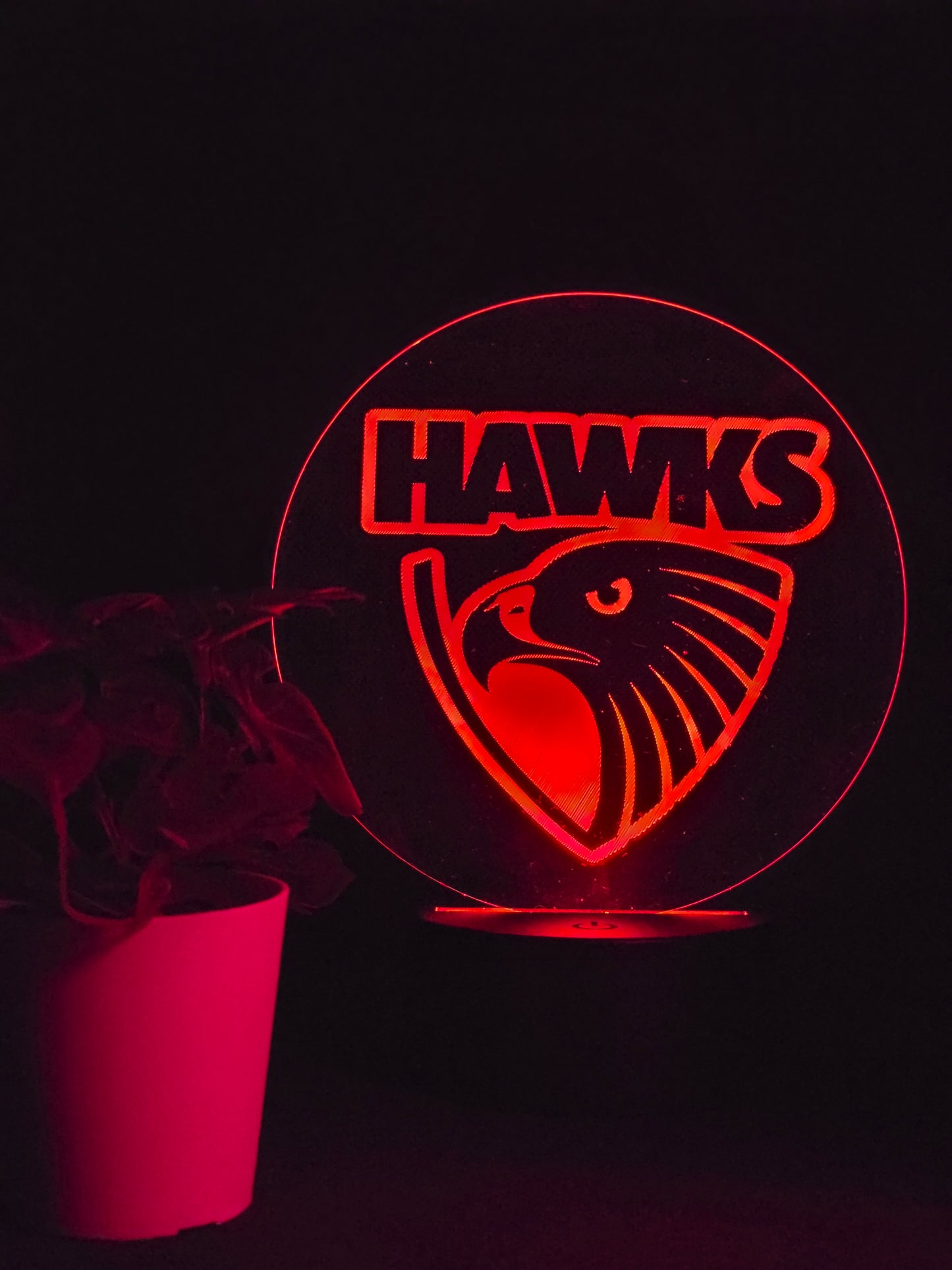 HAWTHORN HAWKS NIGHT LIGHT 8 COLOURS LED LAMP