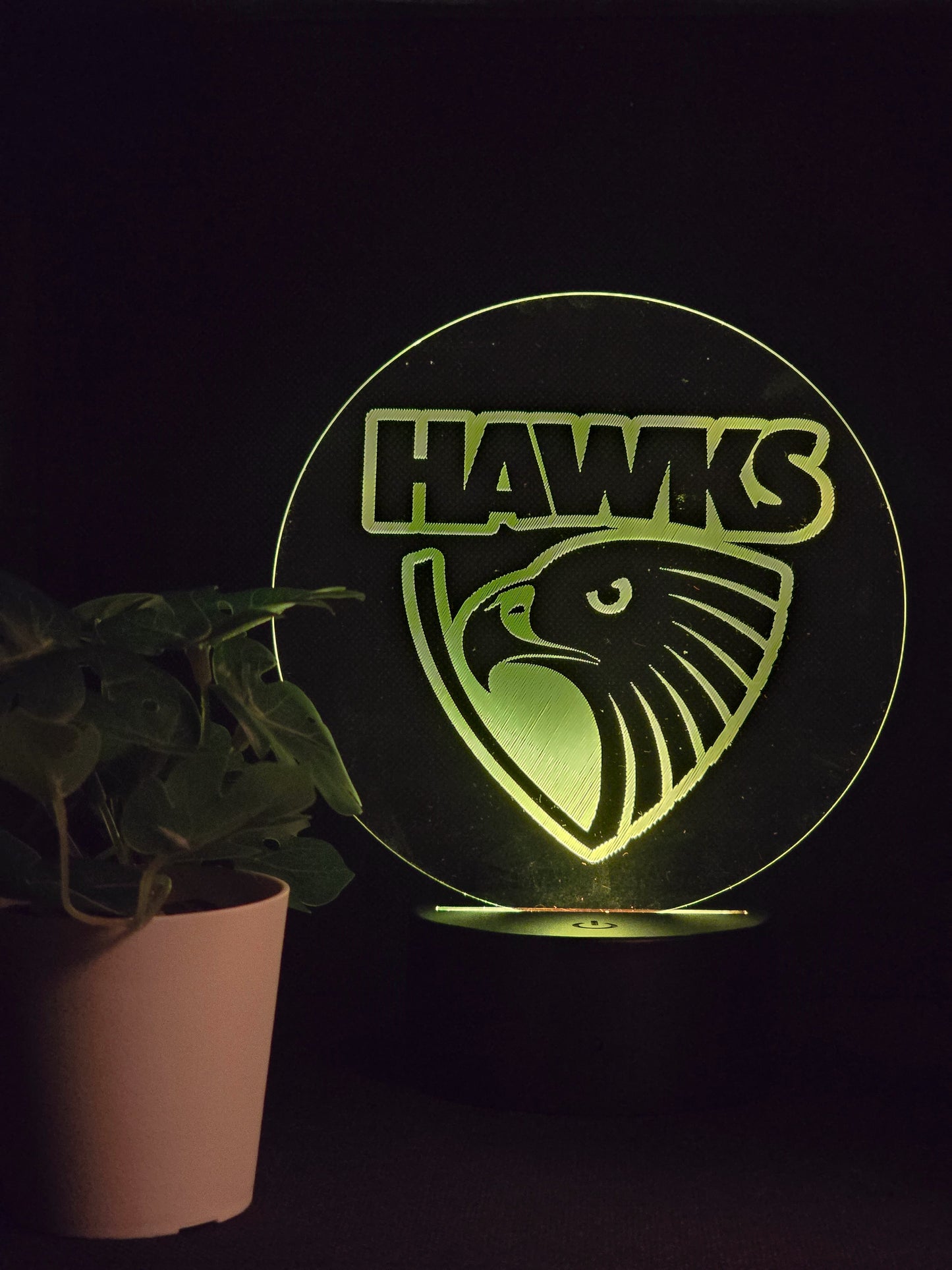 HAWTHORN HAWKS NIGHT LIGHT 8 COLOURS LED LAMP