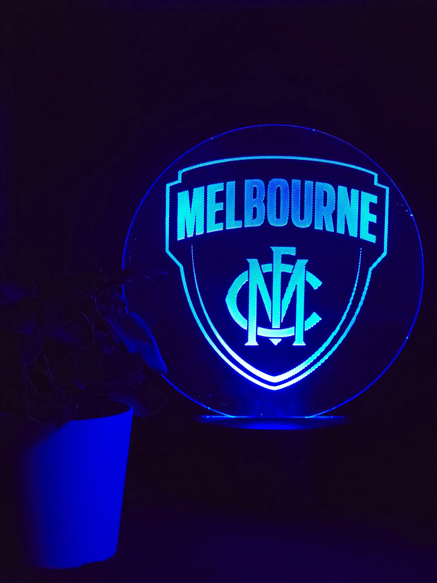 MELBOURNE DEMONS NIGHT LIGHT 8 COLOURS LED LAMP