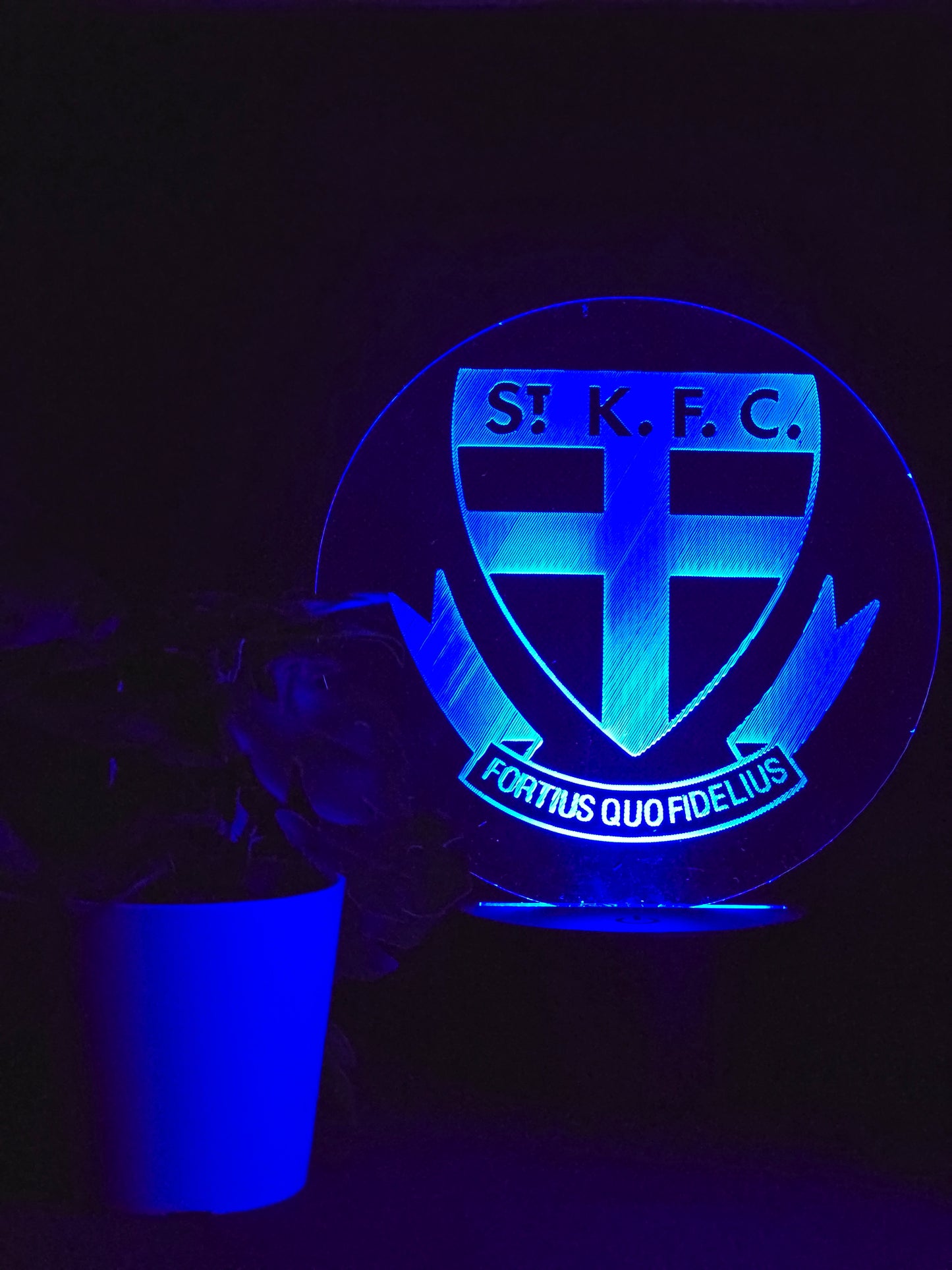 ST KILDA SAINTS NIGHT LIGHT 8 COLOURS LED LAMP