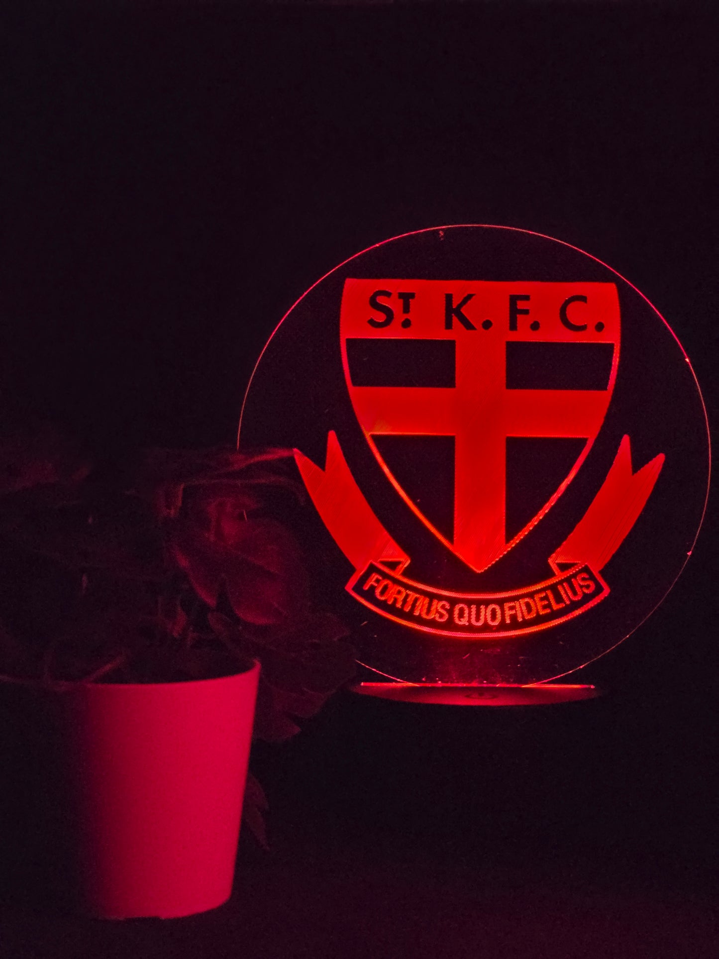 ST KILDA SAINTS NIGHT LIGHT 8 COLOURS LED LAMP
