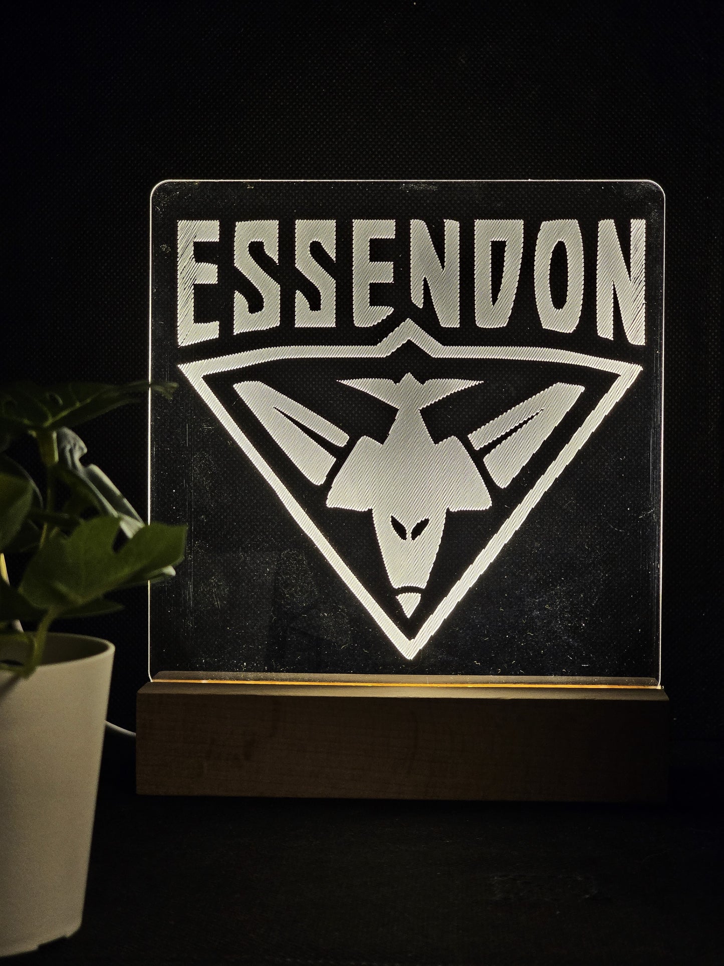 ESSENDON BOMBERS NIGHT LIGHT WARM WHITE LED LAMP
