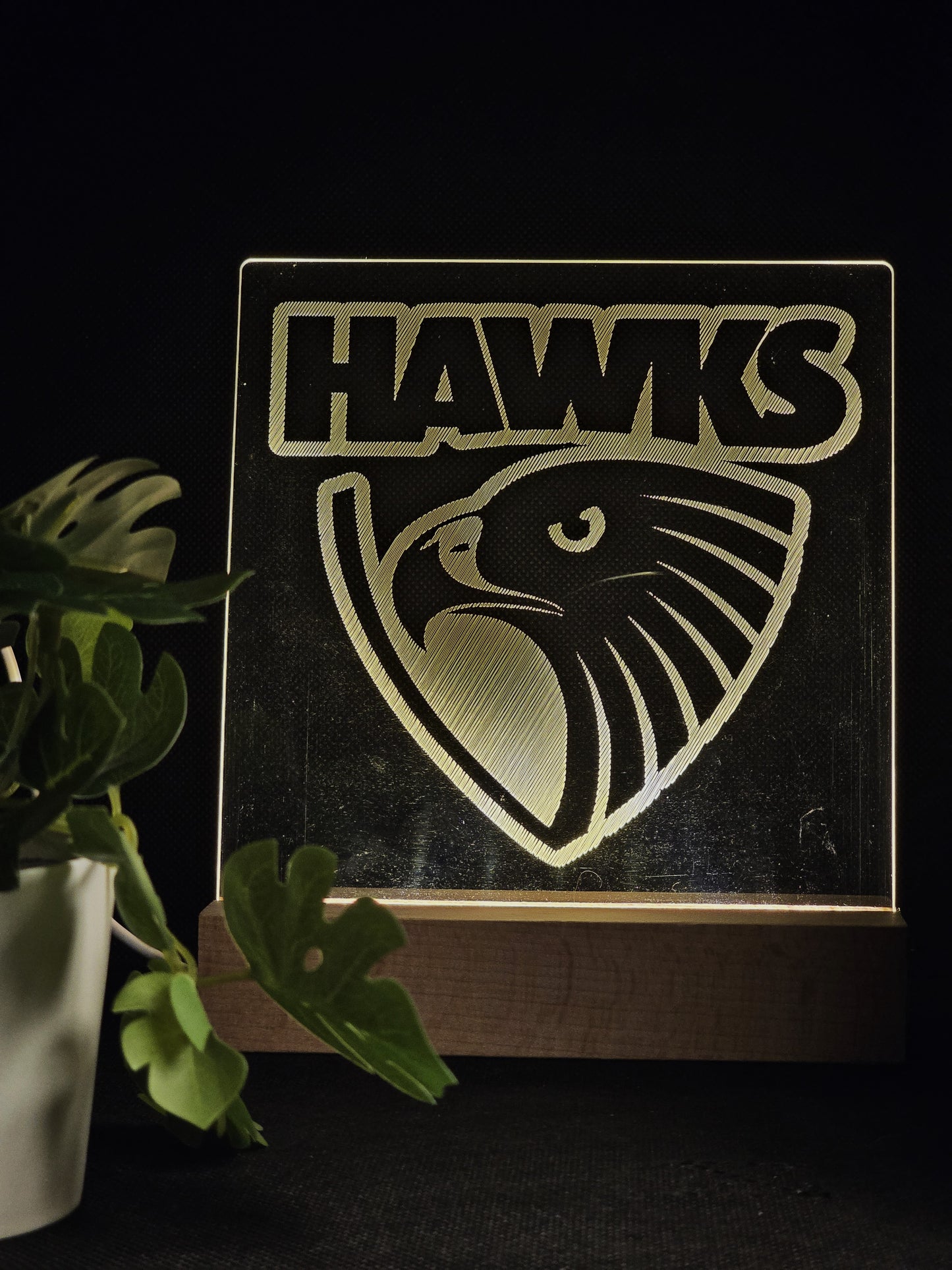 HAWTHORN HAWKS NIGHT LIGHT WARM WHITE LED LAMP