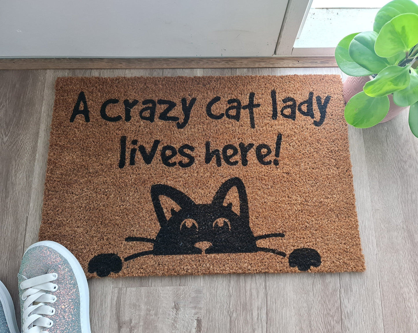 A CRAZY CAT LADY LIVES HERE CUSTOM DOOR MAT