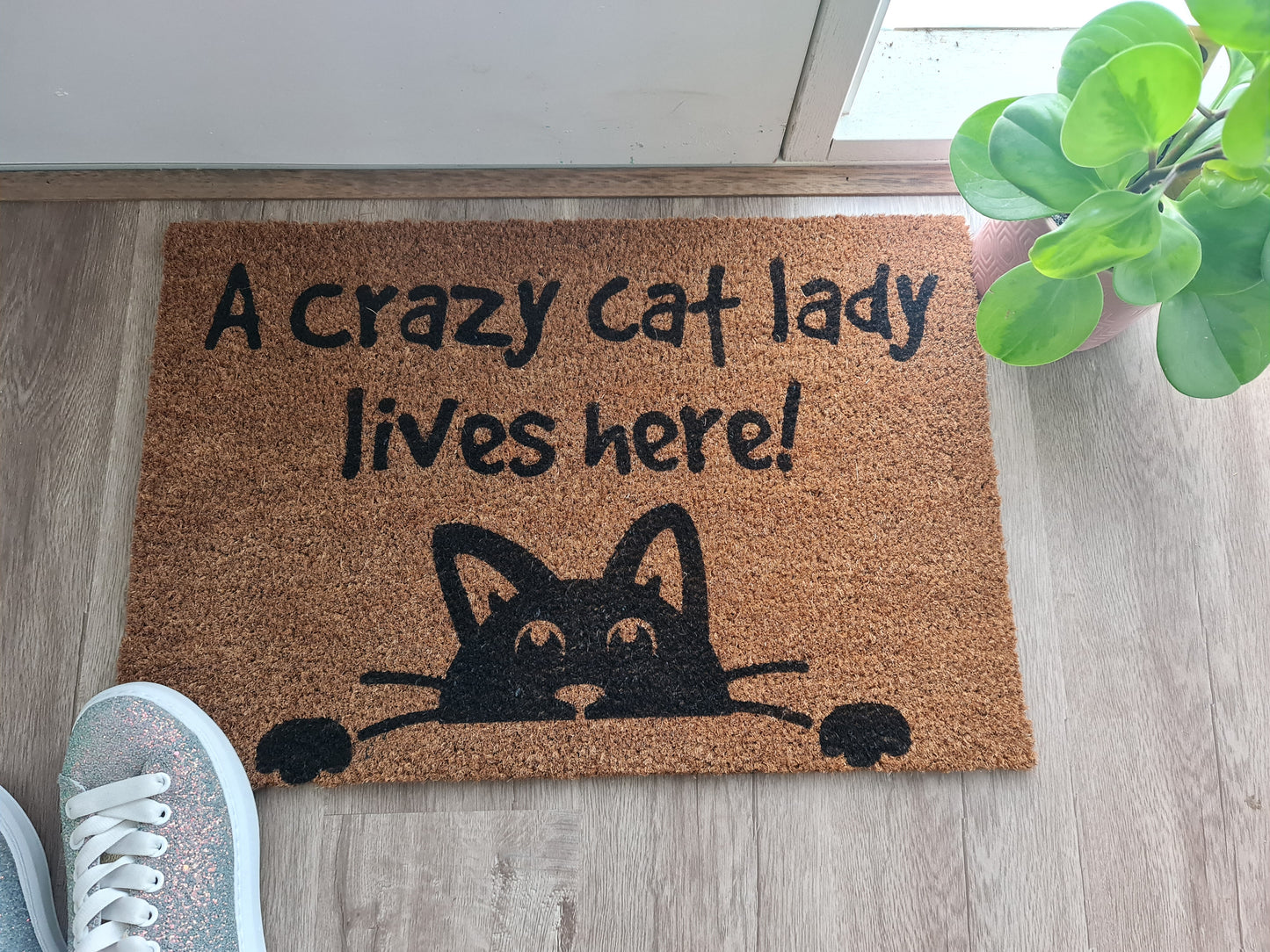 A CRAZY CAT LADY LIVES HERE CUSTOM DOOR MAT