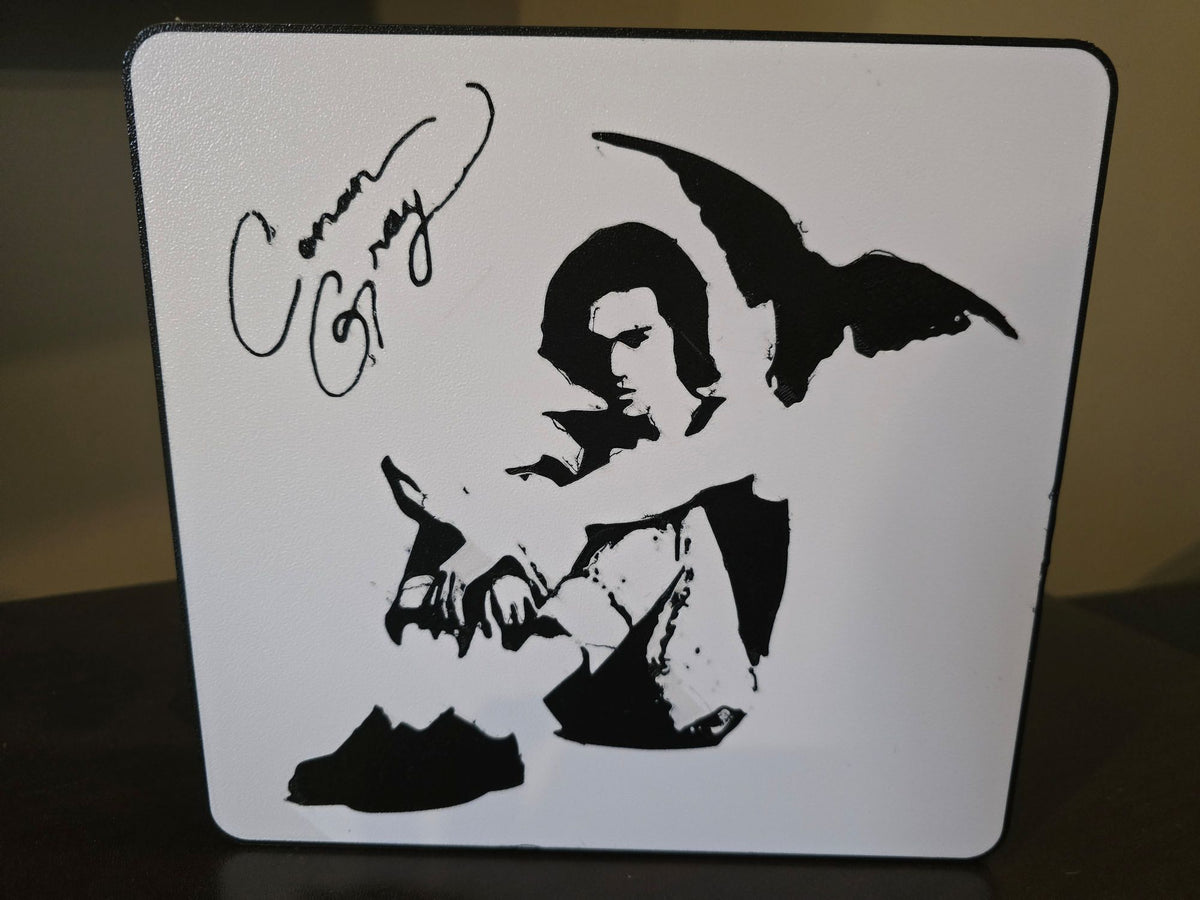 Conan Gray LED Light Box