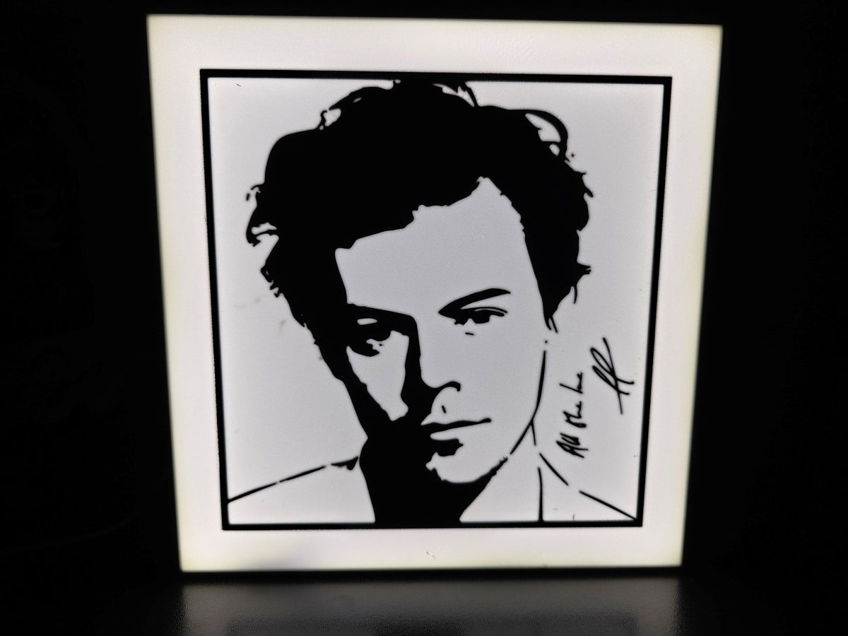 Harry Styles LED Light Box