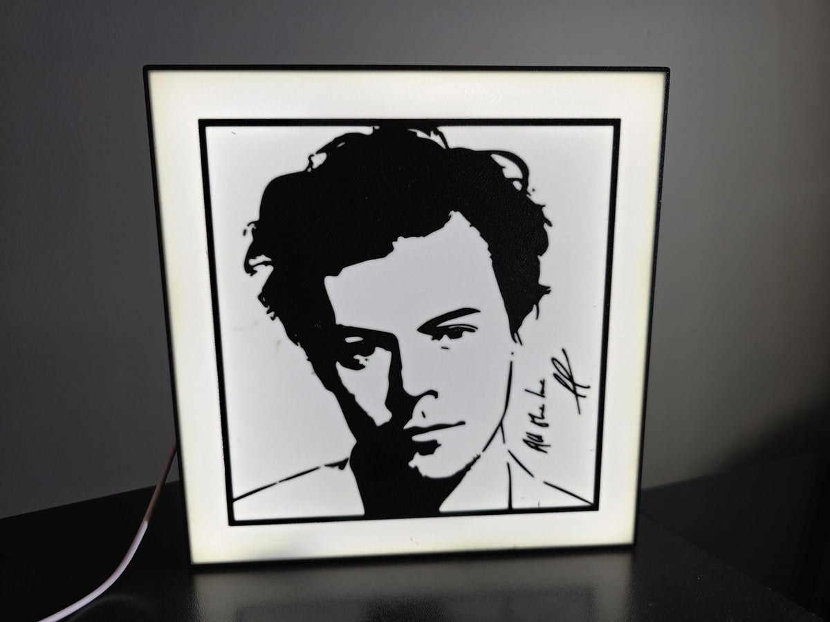 Harry Styles LED Light Box