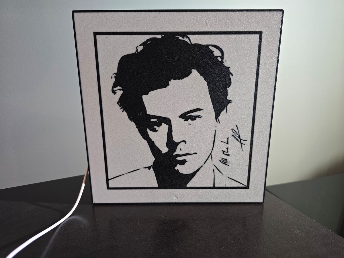 Harry Styles LED Light Box