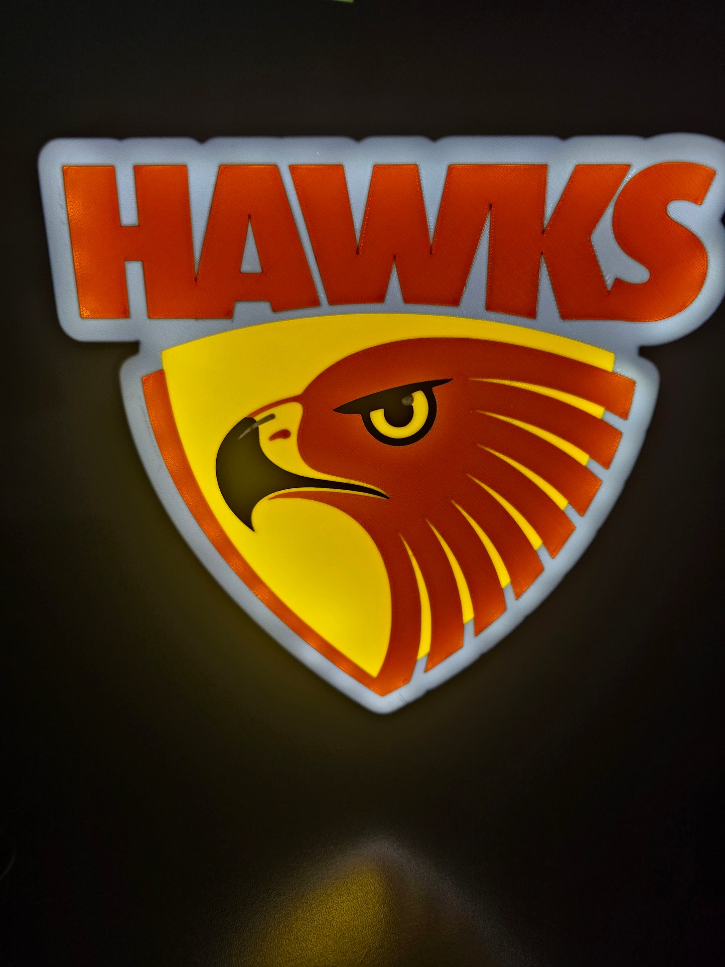 Hawthorn Hawks LED Lightbox