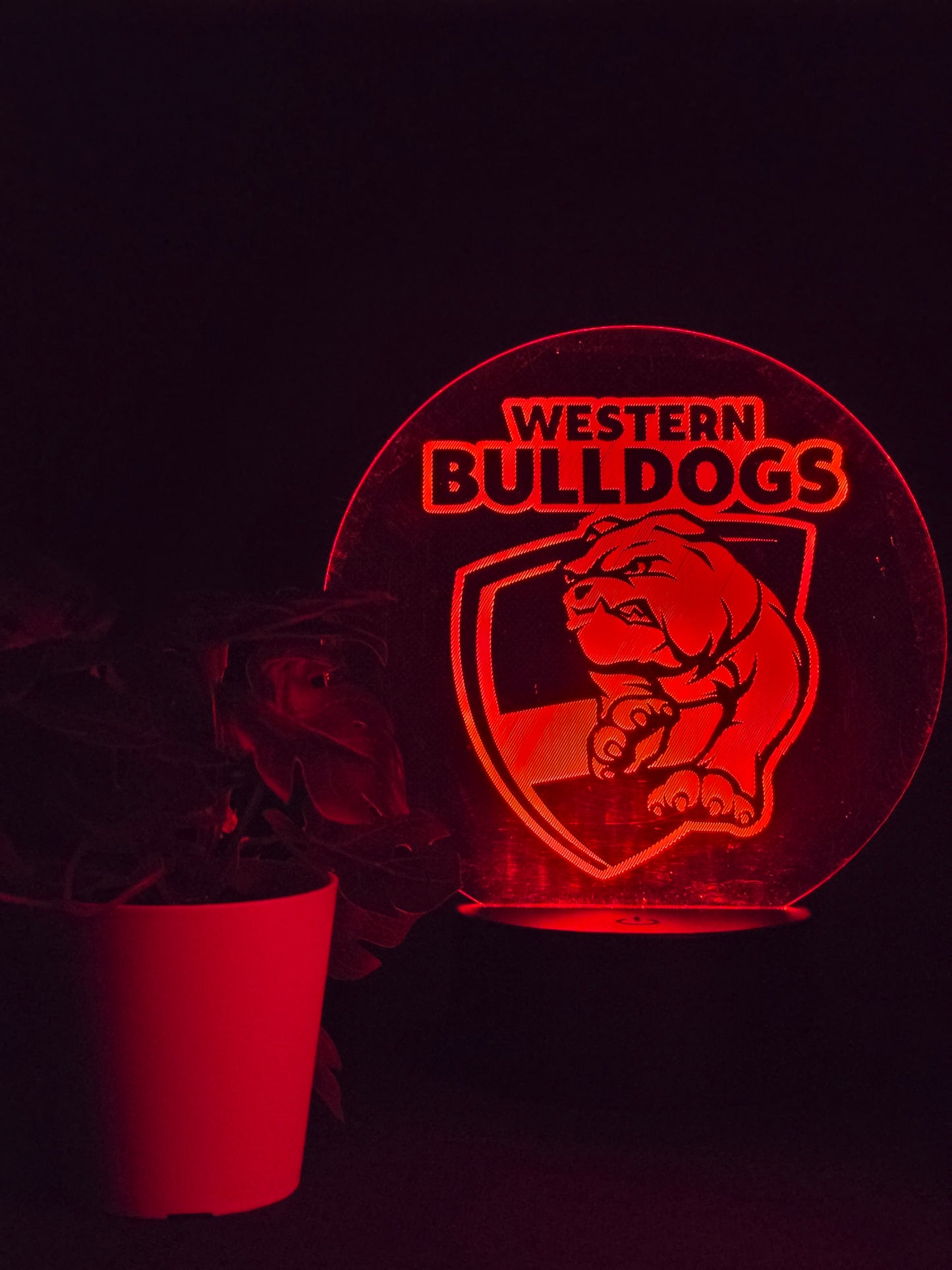 WESTERN BULLDOGS NIGHT LIGHT 8 COLOURS LED LAMP