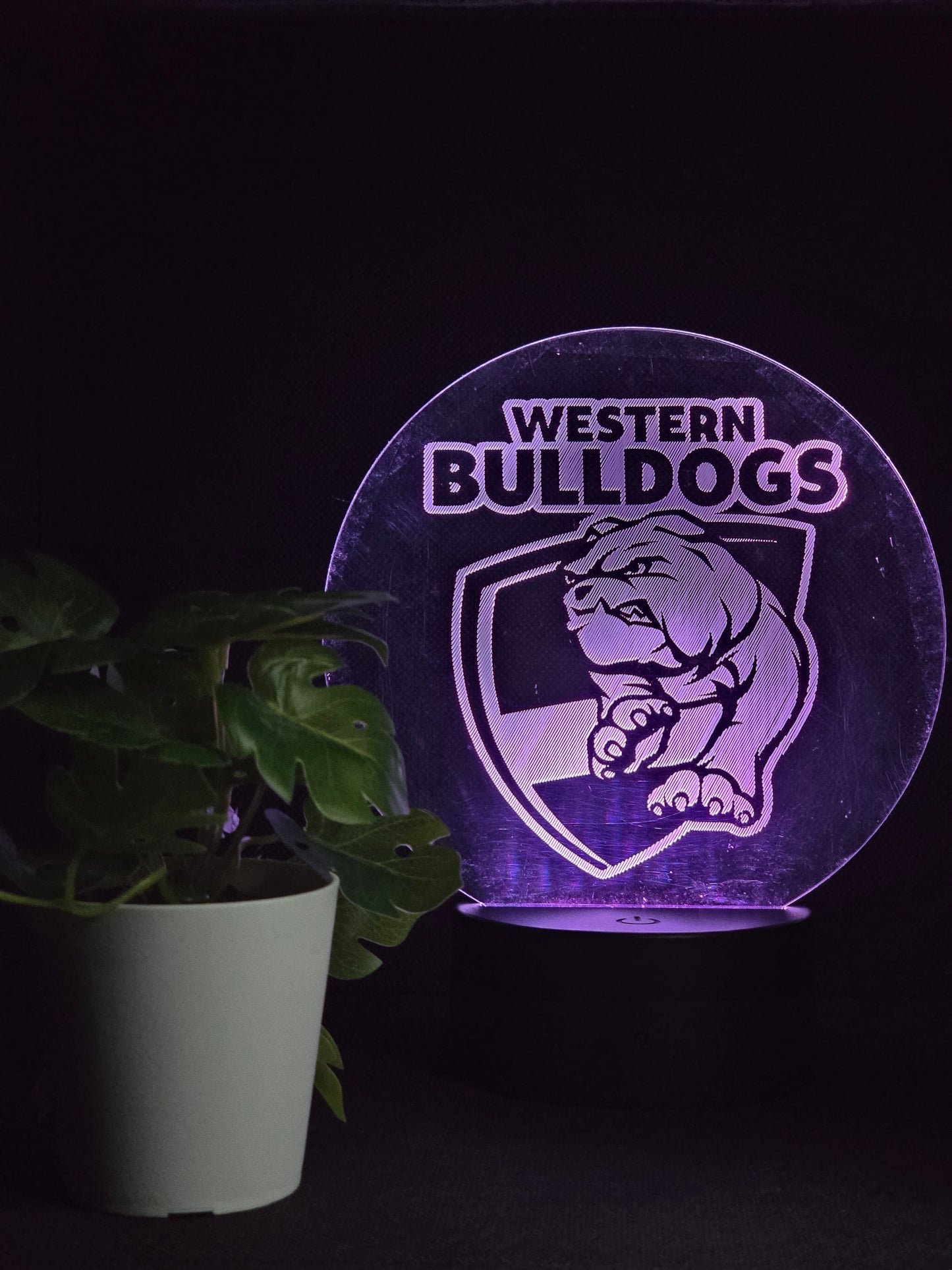 WESTERN BULLDOGS NIGHT LIGHT 8 COLOURS LED LAMP