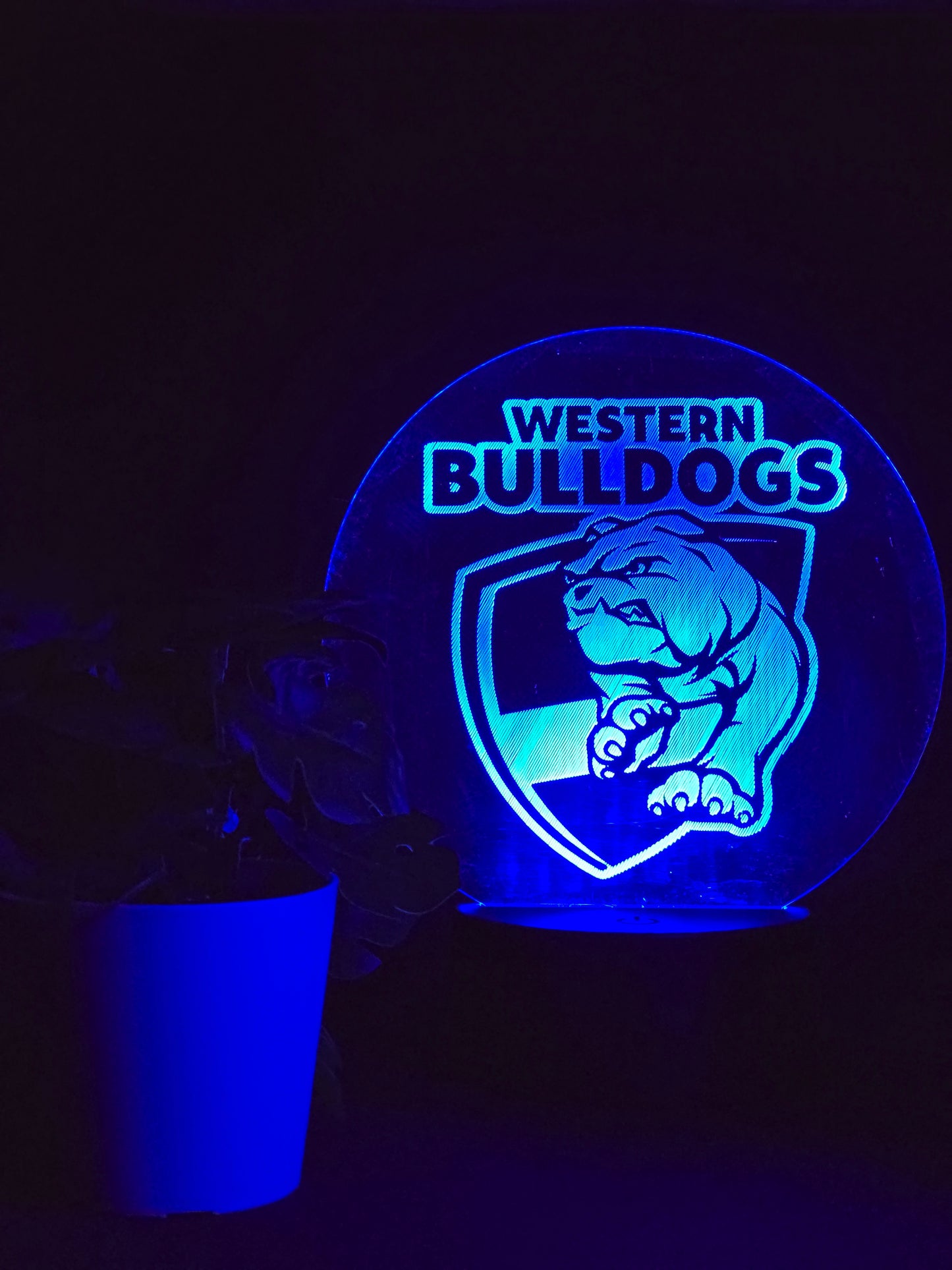 WESTERN BULLDOGS NIGHT LIGHT 8 COLOURS LED LAMP