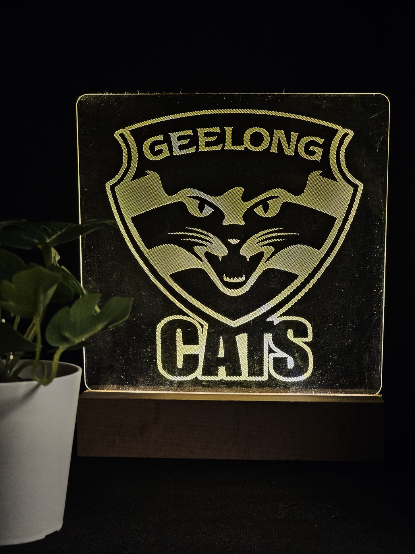 GEELONG CATS NIGHT LIGHT WARM WHITE LED LAMP