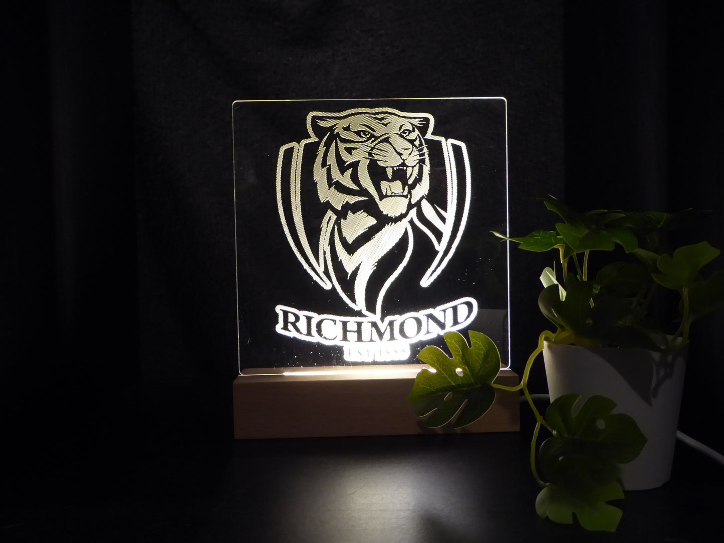 RICHMOND TIGERS NIGHT LIGHT WARM WHITE LED LAMP